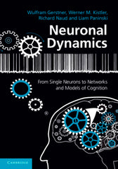 Neuronal Dynamics 1st Edition From Single Neurons to Networks and Models of Cognition